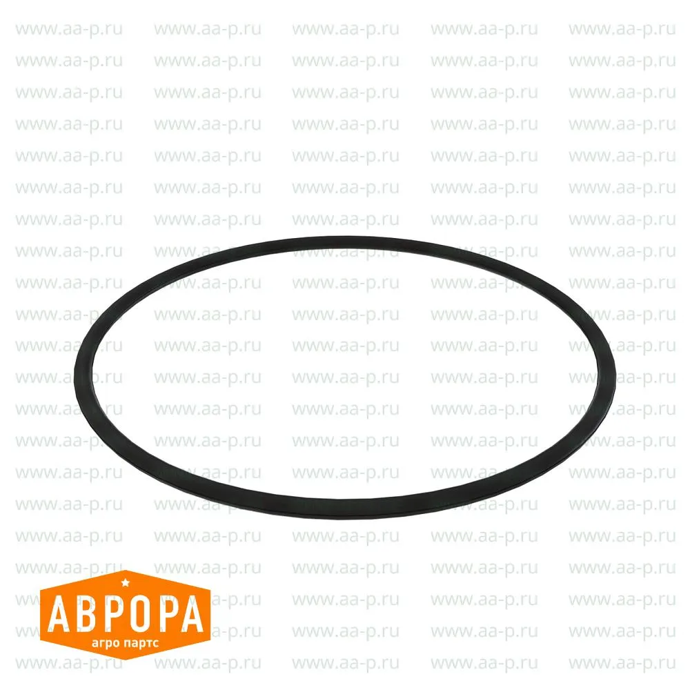 O-Ring